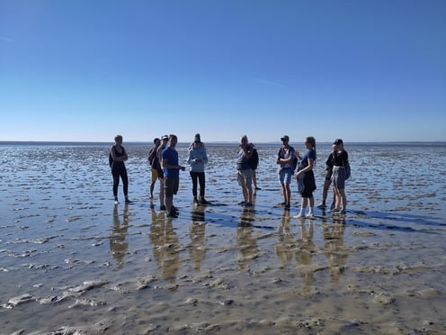 Studierende im Wattenmeer