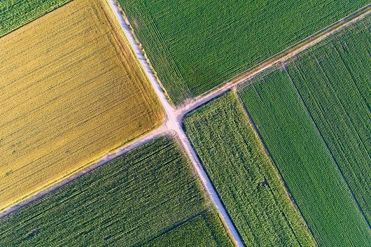 Landwirtschaftlich genutzte Felder von oben aufgenommen