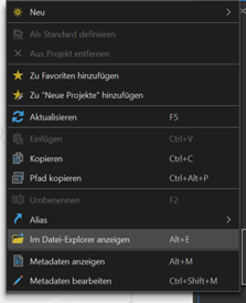 Funktion "Im Datei-Explorer anzeigen"