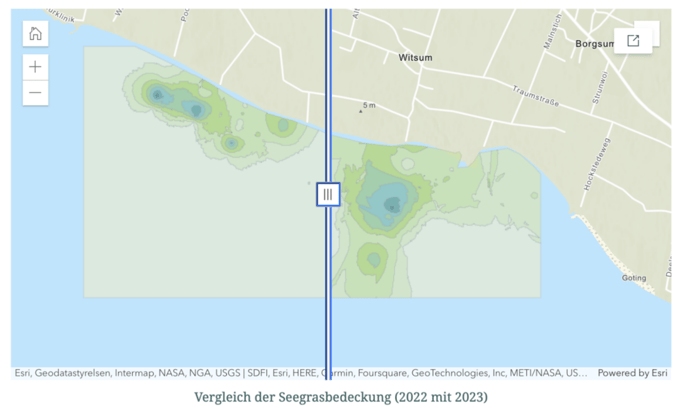 Vergleich der Seegrasbedeckung 2022 und 2023