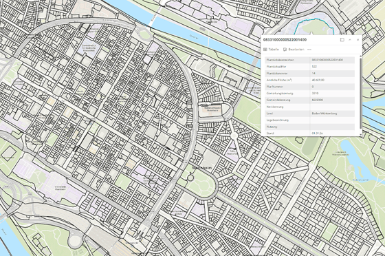 Digitale Stadtkarte von Mannheim mit Straßenraster, Neckar‑ und Rheinufer sowie eingeblendeten Flurstücks‑ und Grundstücksdaten.