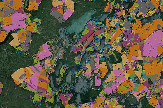 Satellitenbild mit farblich dargestellten Baum- und Kulturartenflächen rund um Seen, Wälder und landwirtschaftlich genutzte Gebiete in Deutschland.
