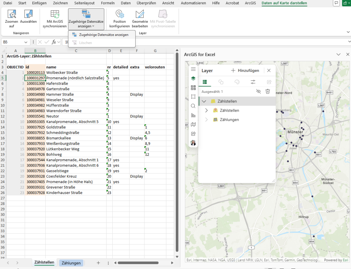 Verbundene Datensätze in Excel anzeigen und filtern