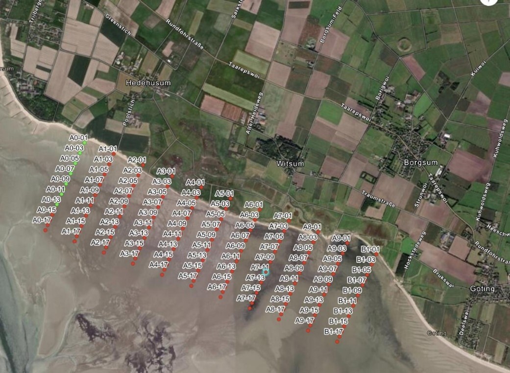 Seegraskartierung an einem Strandabschnitt der Insel Föhr