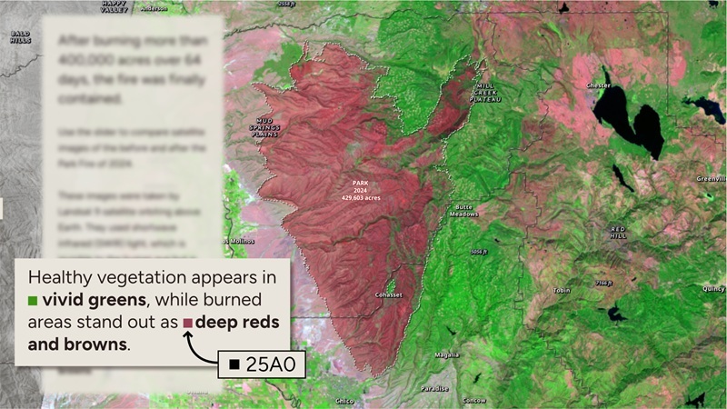 Beispiel für den Einsatz von Symbolzeichen in integrierten Legenden: Eine Satellitenkarte zeigt grüne Vegetationsflächen und rot-braune Brandgebiete. Ein eingeblendeter Text hebt „vivid greens“ und „deep reds and browns“ hervor und verwendet kleine farbige Symbole zur Darstellung der Kategorien, die mit der Karte verknüpft sind.