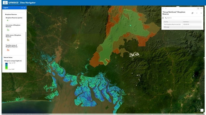 Satellitenkarte im UNESCO Sites Navigator mit farblich dargestellten Mangrovenhöhen und Küstenlandschaft.