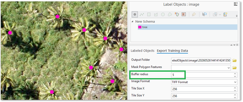 Screenshot einer Luftaufnahme mit markierten Punkten zur Baum-Erkennung im ArcGIS Pro „Label Objects for Deep Learning“-Werkzeug, inklusive Export-Einstellungen mit Buffer-Radius.