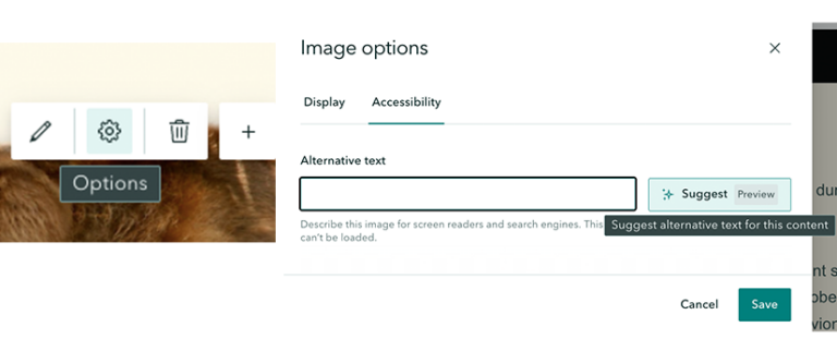 Screenshot aus den Bildeinstellungen von ArcGIS StoryMaps im Reiter „Accessibility“. Neben dem Eingabefeld für den Alternativtext befindet sich die Schaltfläche „Suggest“, mit der der ArcGIS StoryMaps Assistant automatisch Vorschläge für Alternativtexte generieren kann. Zusätzlich sind die Schaltflächen „Preview“, „Cancel“ und „Save“ sichtbar.