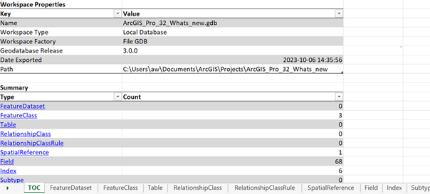 Beispiel für einen Schema-Bericht in ArcGIS Pro 3.2, der in eine Excel-Datei exportiert wurde 