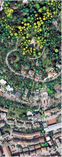 Luftbild eines städtischen Gebiets mit KI-gestützter Analyse von Baumkronen und Vegetation. Farbcodierte Markierungen zeigen erkannte Bäume entlang von Straßen, Parkanlagen und Wohngebieten.
