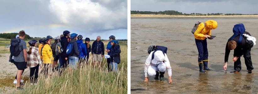 Field work in the Wadden Sea