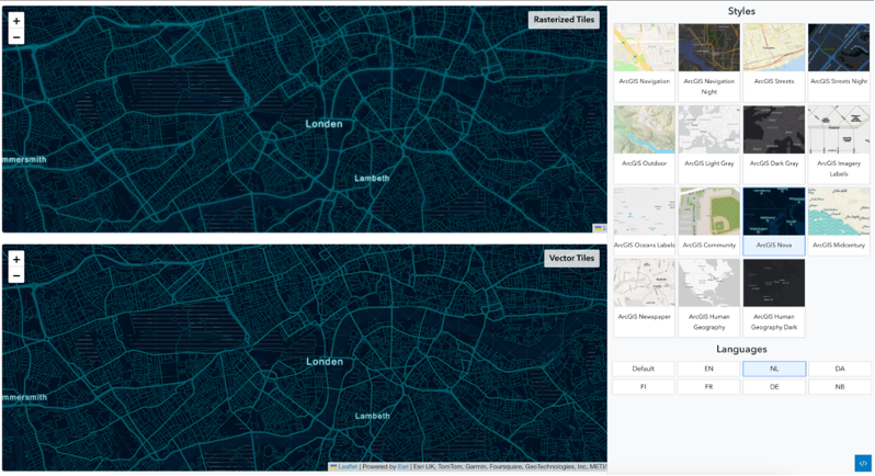 Auswahl der unterschiedlichen Styles bei Rasterized Tiles und Vector Tiles