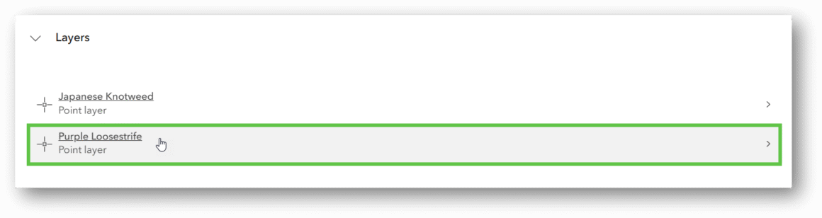 Wählen Sie eine der Ebenen auf der Artikelseite aus.