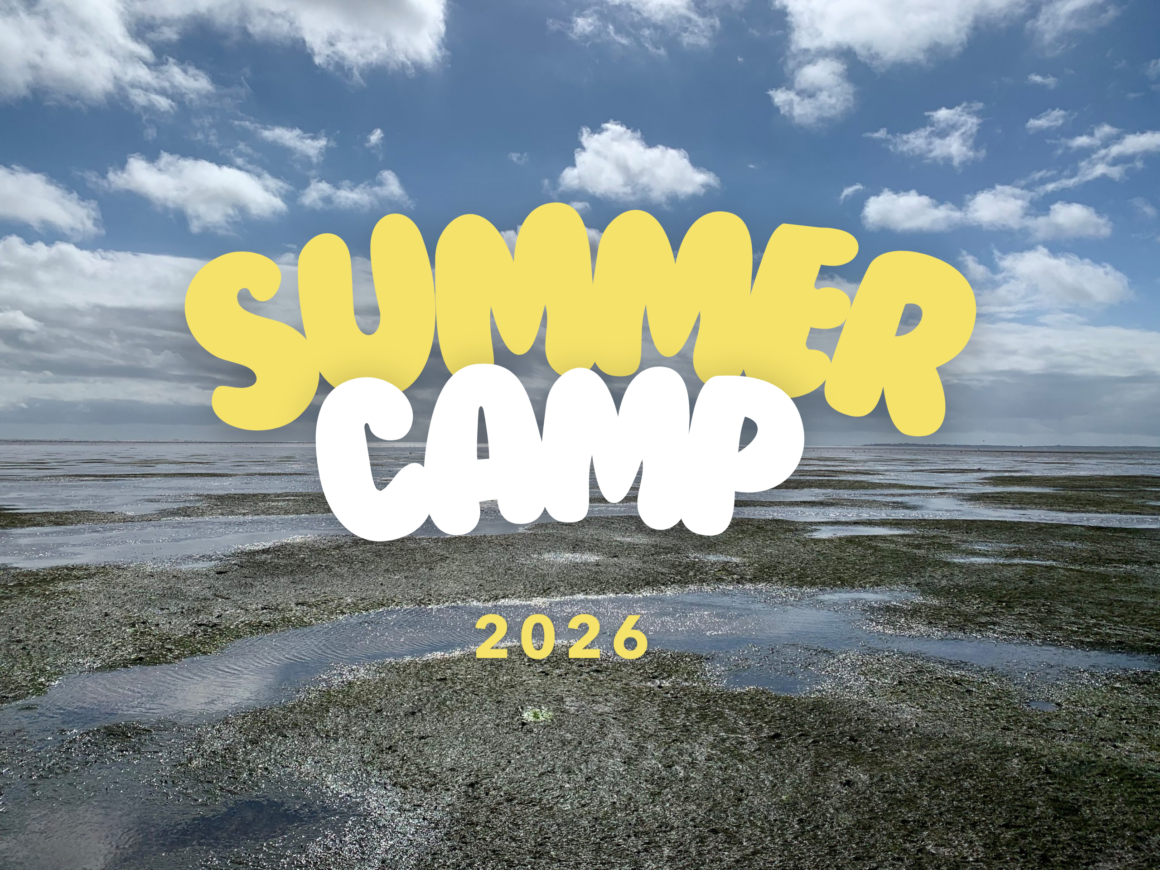 Wadden Sea with the slogan "Summer Camp 2026"