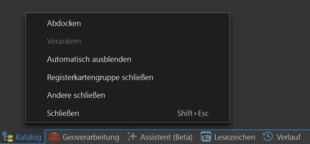Abbildung 1: Alle anderen Registerkarten schließen 
