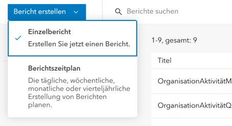 Screenshot, wie man in ArcGIS einen Einzelbericht erstellt.