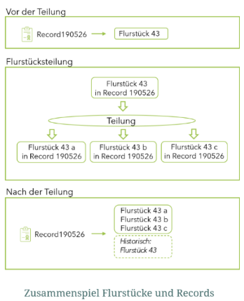 Schematische Darstellung einer Flurstücksteilung: Ein Flurstück wird innerhalb eines Records in drei neue Flurstücke aufgeteilt, während das ursprüngliche Flurstück als historisch gekennzeichnet wird.