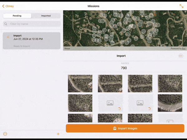 Bilder importieren