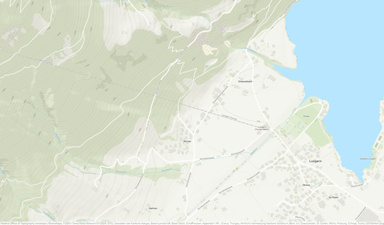 Abbildung 2: LV95 Swiss Topographic (with Contours and Hillshade)