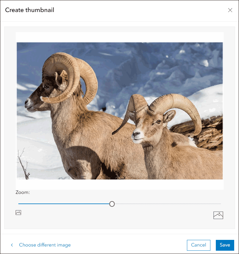Dialogfenster zum Erstellen einer Miniaturansicht in ArcGIS Online. Ein Foto von zwei Sierra-Nevada-Dickhornschafen in einer Gebirgslandschaft wird als benutzerdefinierte Karten-Miniaturansicht verwendet. Unter dem Bild befinden sich Steuerelemente zum Anpassen von Zoom und Bildausschnitt.